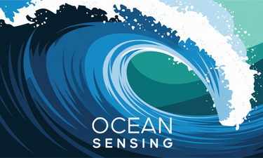 OceanSensing.com - Creative brandable domain for sale